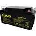 Long WP65-12 WP65-12 Batterie au plomb 12 V 65 Ah plomb (AGM) (l x H x P) 350 x 174 x 166 mm raccord à vis M6 certification VdS Long WP65-12 WP65-12 Batterie au plomb 12 V 65 Ah plomb (AGM) (l x H x P) 350 x 174 x 166 mm raccord à vis M6 certification VdS