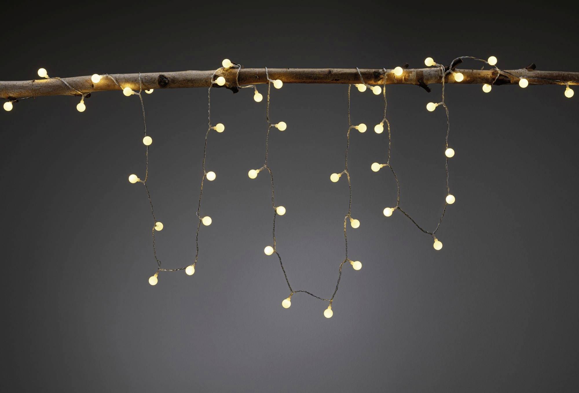 Une guirlande lumineuse avec des petites ampoules blanc chaud est suspendue à une branche devant un fond sombre. Elles créent une atmosphère chaleureuse et accueillante.