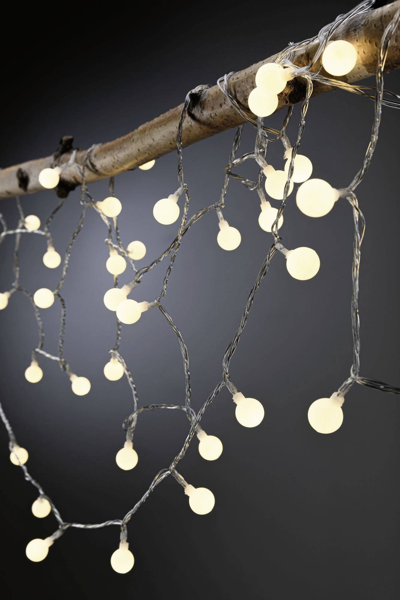 Guirlande lumineuse avec des ampoules rondes à lumière chaude, suspendue à une branche.