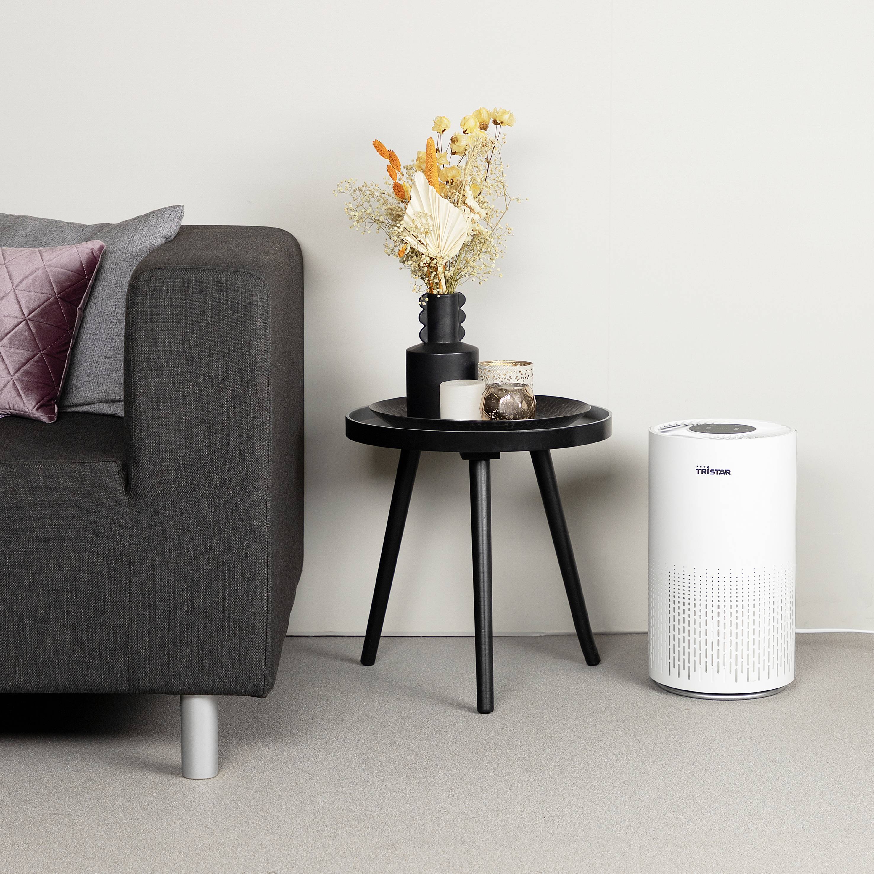 Un canapé gris avec un coussin lilas se trouve à côté d'une petite table ronde sur laquelle sont posés une vase et des bougies. À droite se trouve un purificateur d'air.