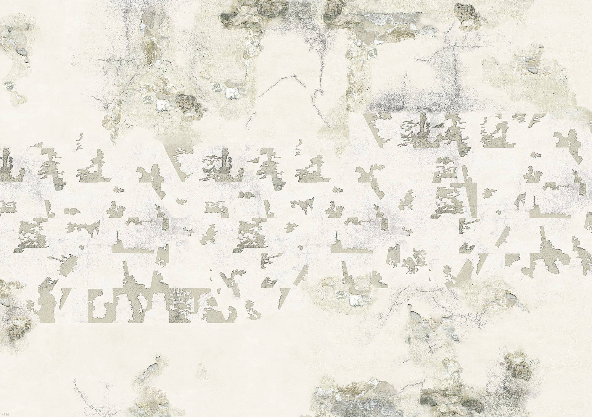 Mur délabré, écaillé, avec des fissures et des taches décolorées dans des tons de gris et de beige. La texture révèle l'âge et l'usure.