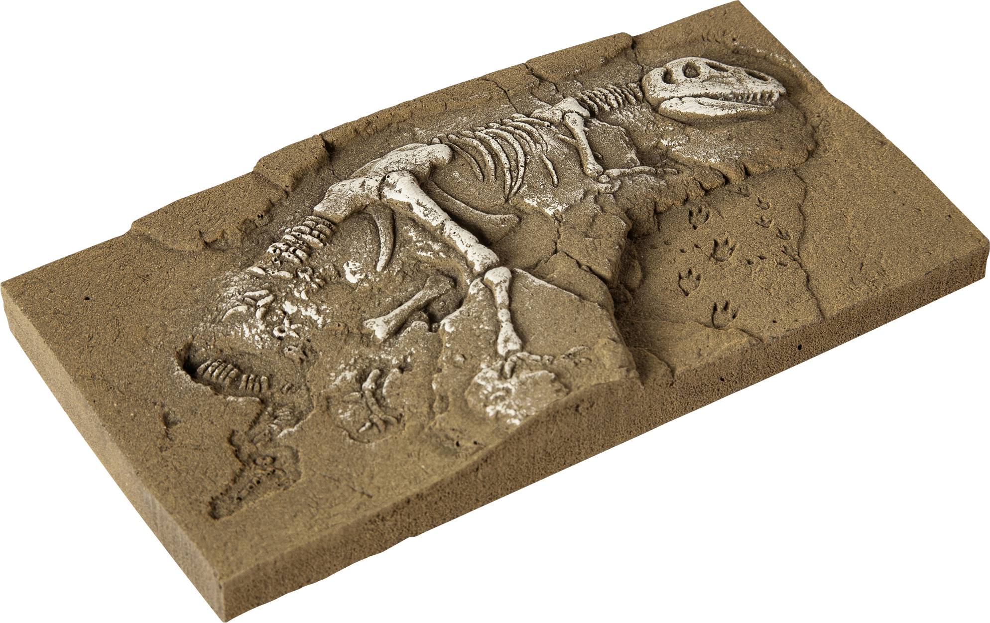 Un squelette de dinosaure a été mis au jour dans un bloc rectangulaire de terre, entouré d'empreintes fossiles indiquant un site de fouilles.