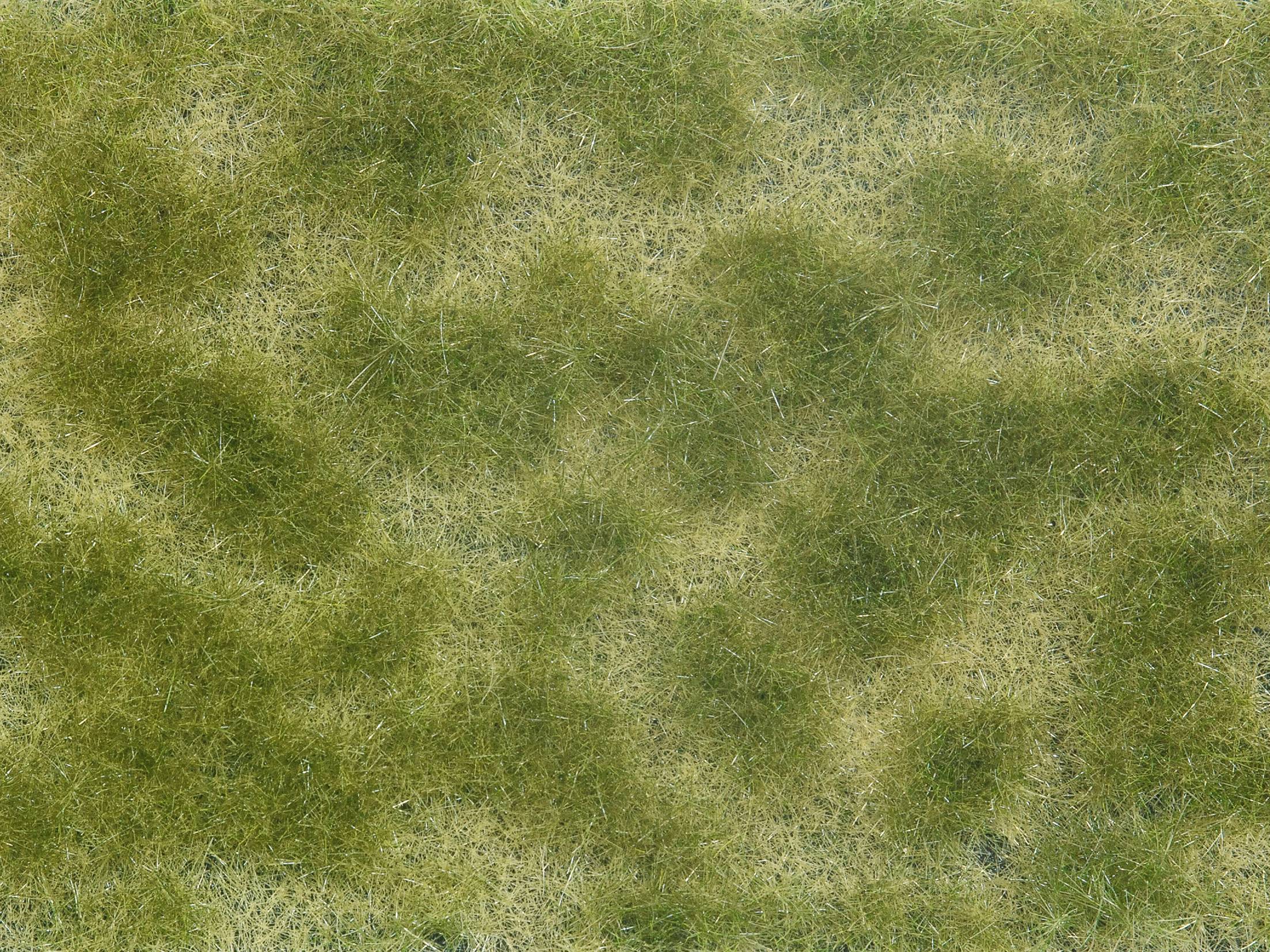 Une surface d'herbe verte et jaune avec des motifs irréguliers, probablement dans un pré ou un champ.