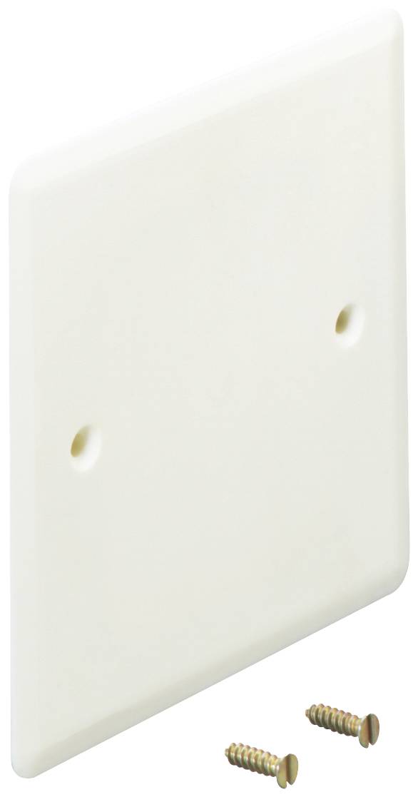 Plaque de couverture blanche, carrée, avec deux trous de fixation, accompagnée de deux vis. Adaptée pour couvrir les ouvertures de prises électriques.