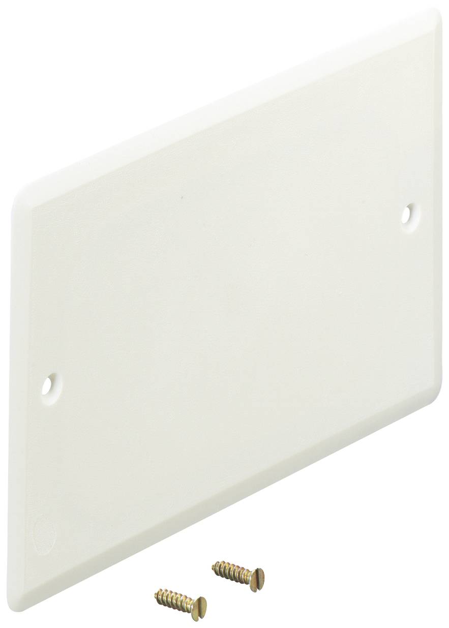 Une plaque de couverture rectangulaire blanche en plastique avec des coins arrondis, deux trous de fixation et les vis correspondantes.