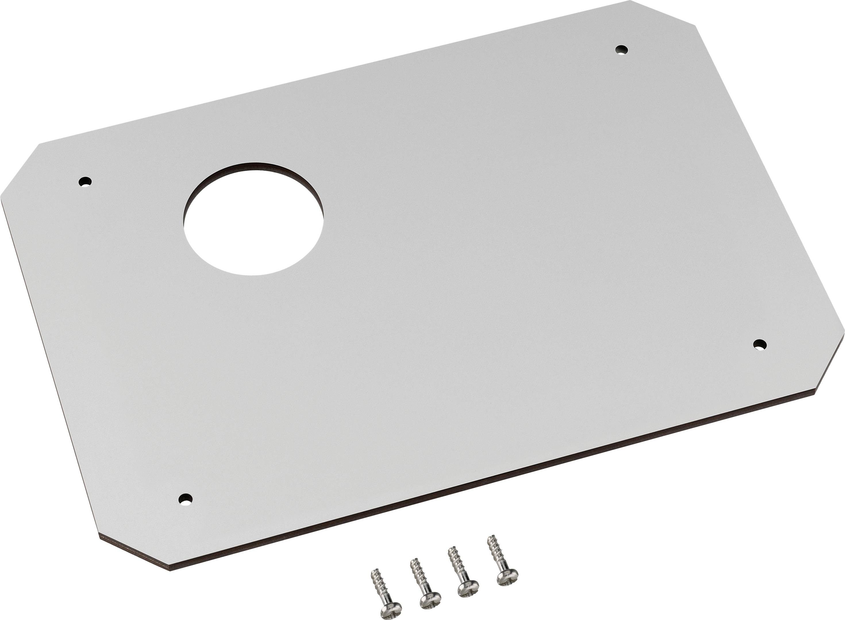 Plaque métallique argentée avec un trou rond au centre, accompagnée de quatre vis.