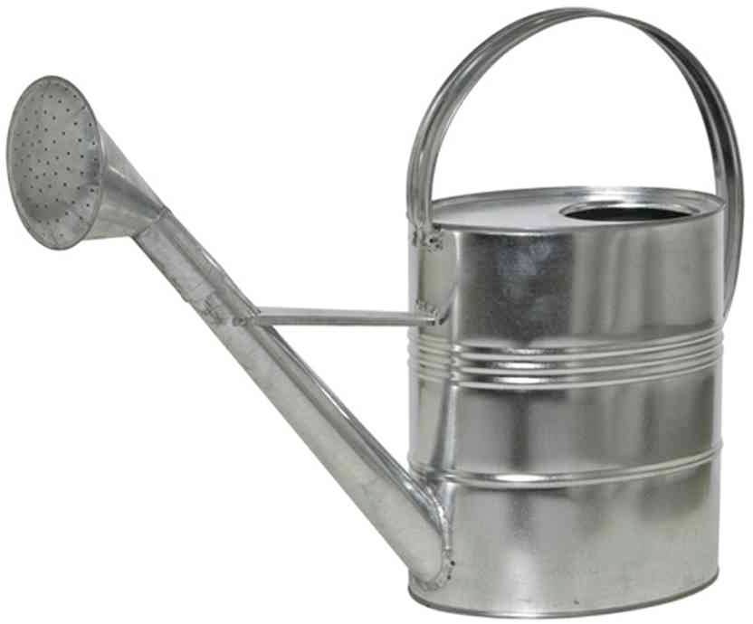 Une arrosoir métallique avec un bec long et une anse ronde, adapté pour l'arrosage des plantes dans le jardin.