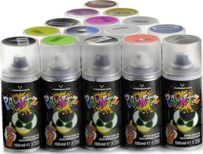 Plusieurs bombes de peinture de différentes couleurs disposées en groupe. Chaque bombe arbore le logo 'Pain-Z'.