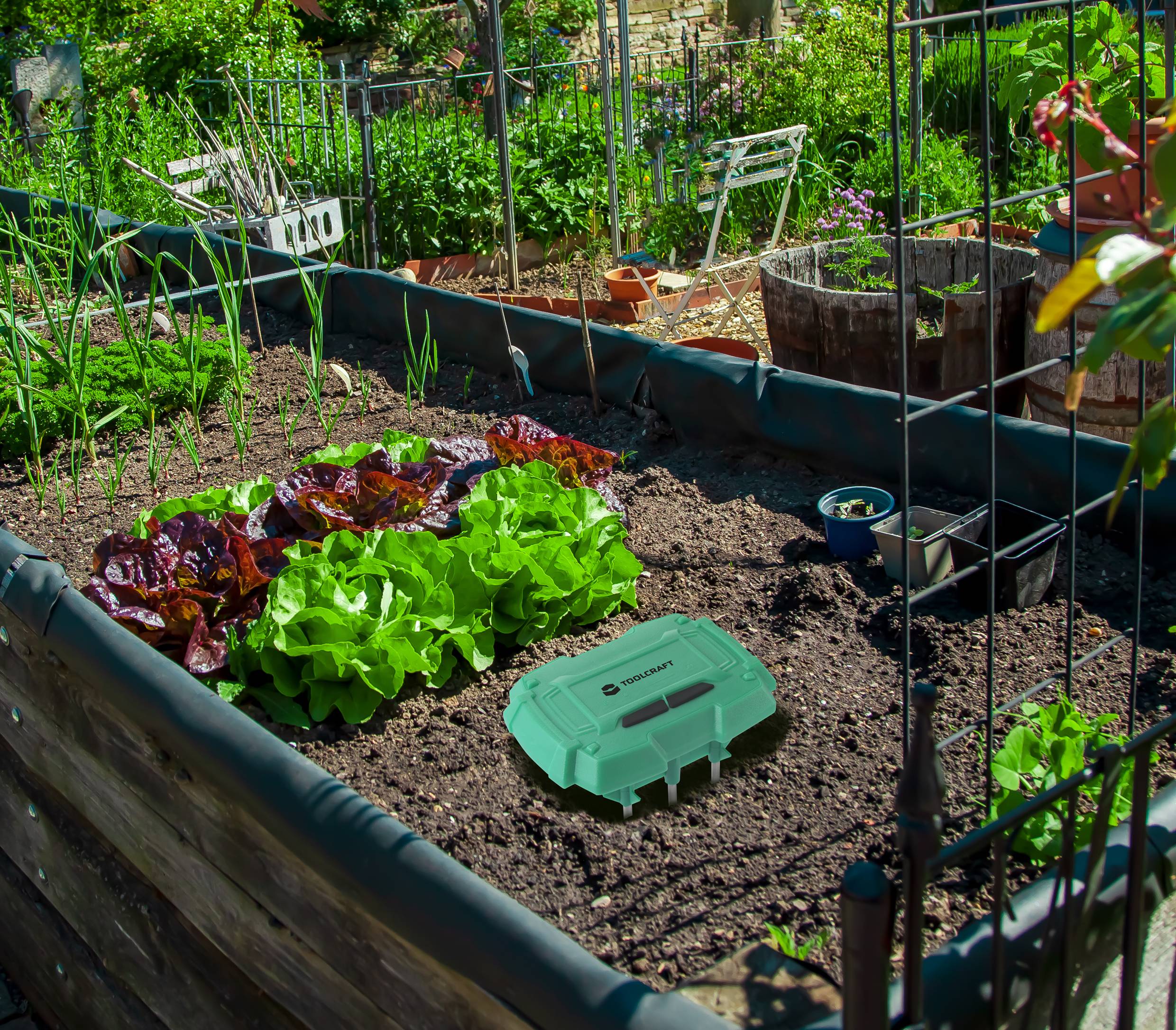 Un petit jardin potager avec de la salade fraîche et des oignons dans des carrés surélevés, entouré d'accessoires de jardinage et d'un conteneur vert au premier plan.