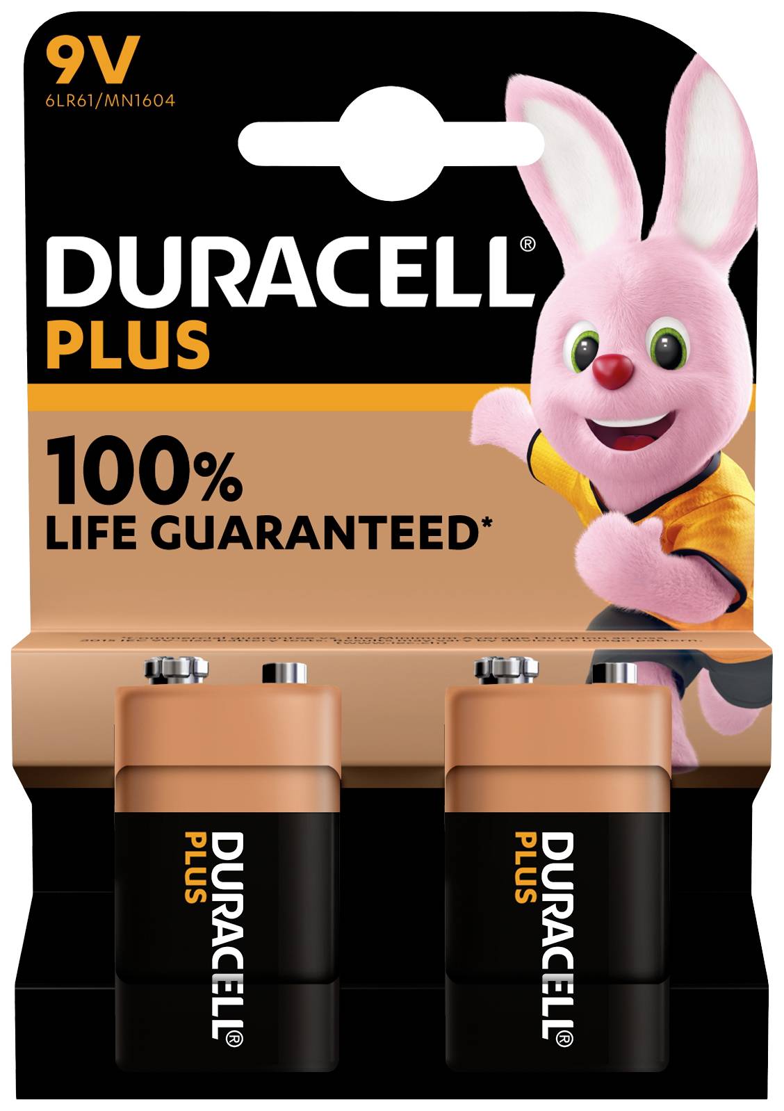 Duracell Plus-9V B2 Pile 6LR61 (9V) alcaline(s) 9 V 2 pc(s)