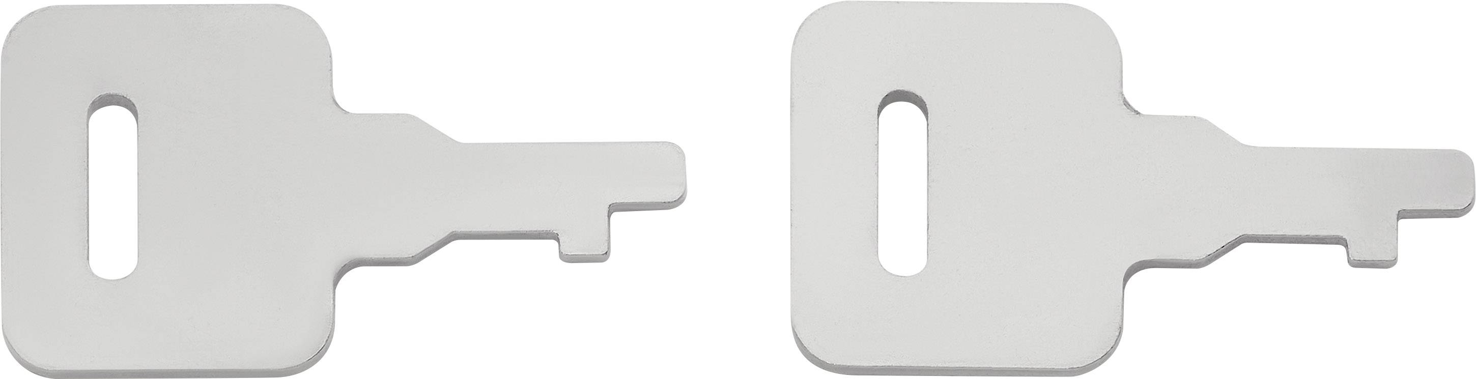 Deux clés en métal argenté pour un système d'allumage de véhicule spécifique. Elles ont une forme rectangulaire avec une ouverture rectangulaire sur chacune.