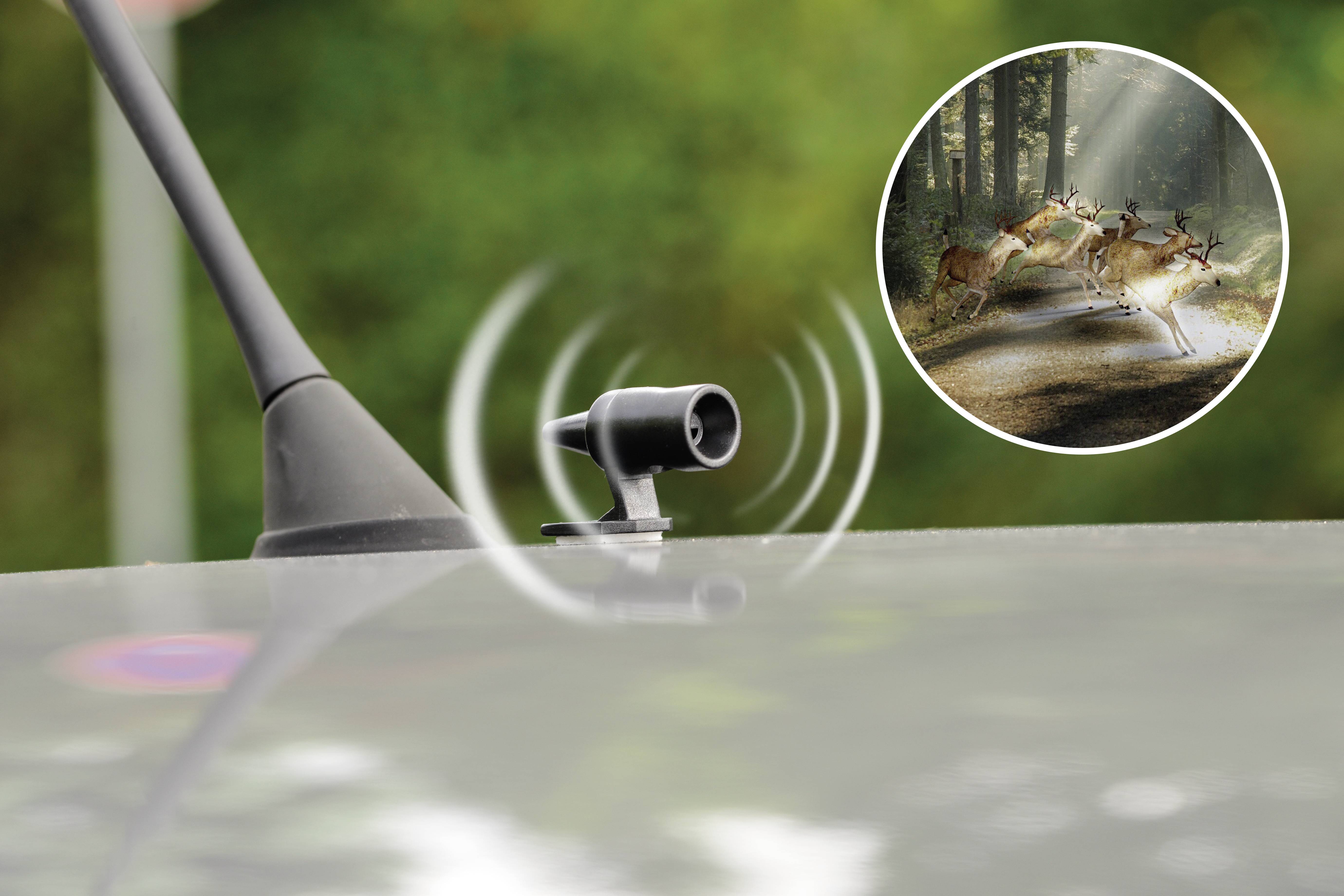 Un capteur de système d'alerte animal sur une voiture montre des signaux en action. Dans le coin supérieur droit de l'image, un passage de faune avec des cerfs dans la forêt.