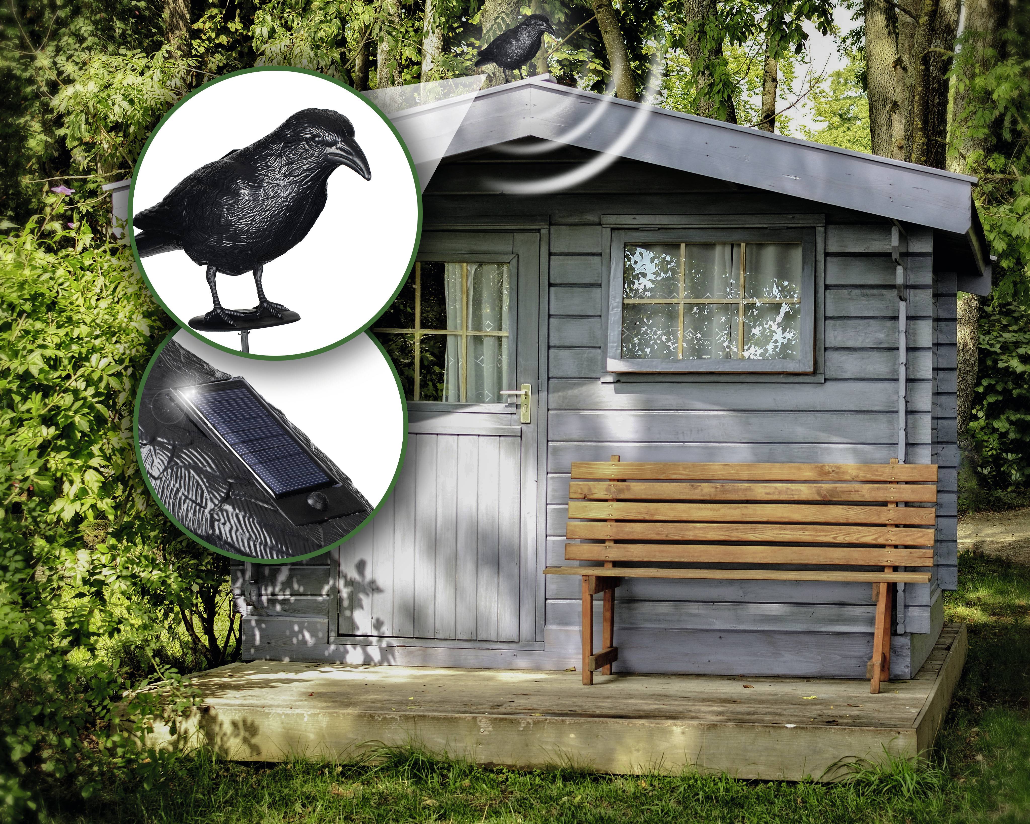 Repousseur d'oiseaux Gardigo Type de fonctions effet dissuasif 1 pc(s)