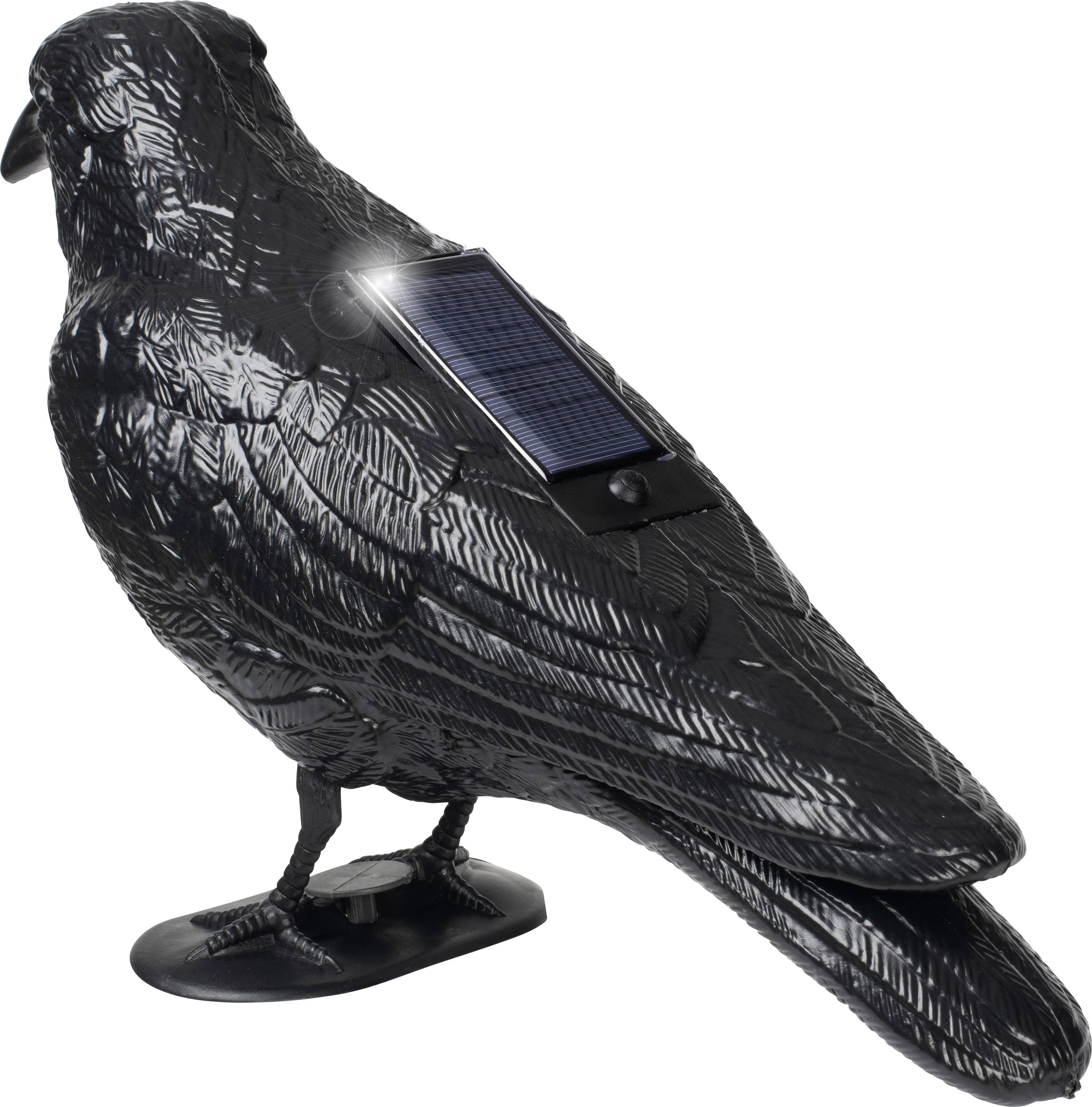 Repousseur d'oiseaux Gardigo Type de fonctions effet dissuasif 1 pc(s)