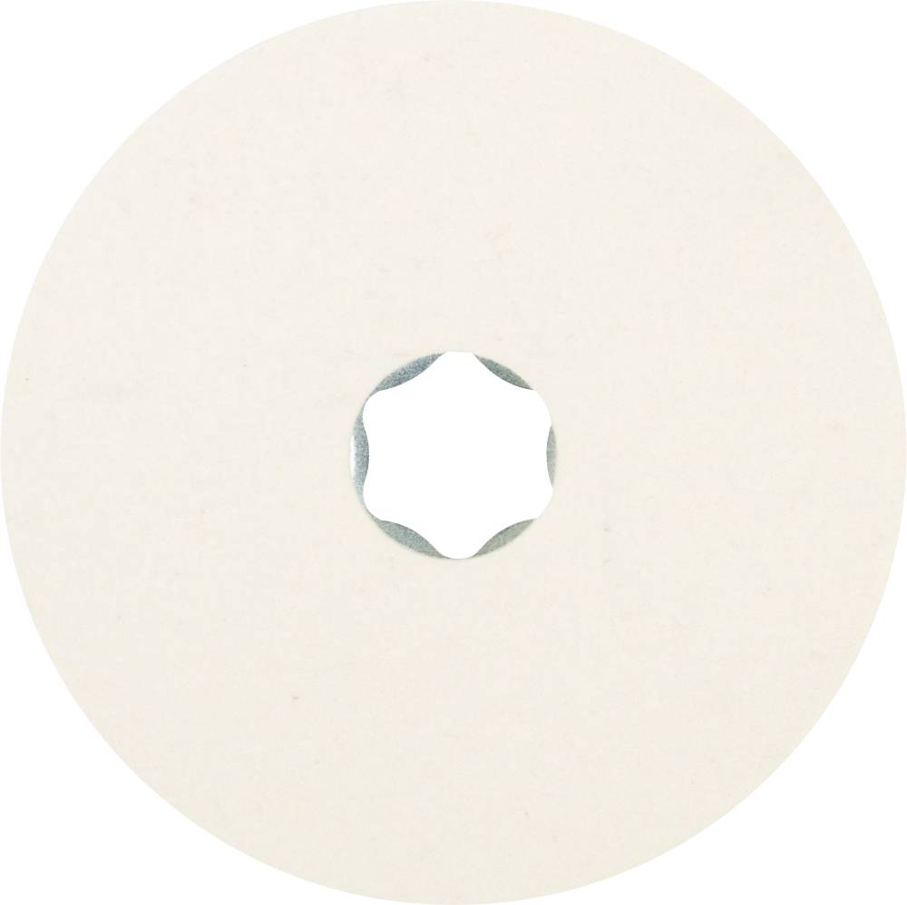 PFERD 42003005 Plateau de ponçage Diamètre 100 mm