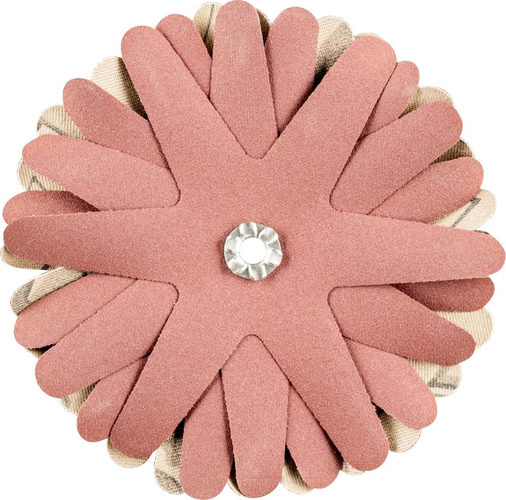 PFERD 42732170 Étoiles abrasives Diamètre 100 mm 10 pc(s)