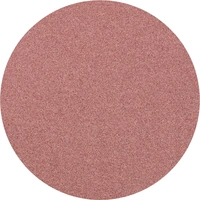 PFERD TOOLS CD 75 A 120 FORTE 42751712 Feuille abrasive Grain 120 (Ø) 75 mm 50 pc(s) PFERD TOOLS CD 75 A 120 FORTE 42751712 Feuille abrasive Grain 120 (Ø) 75 mm 50 pc(s)