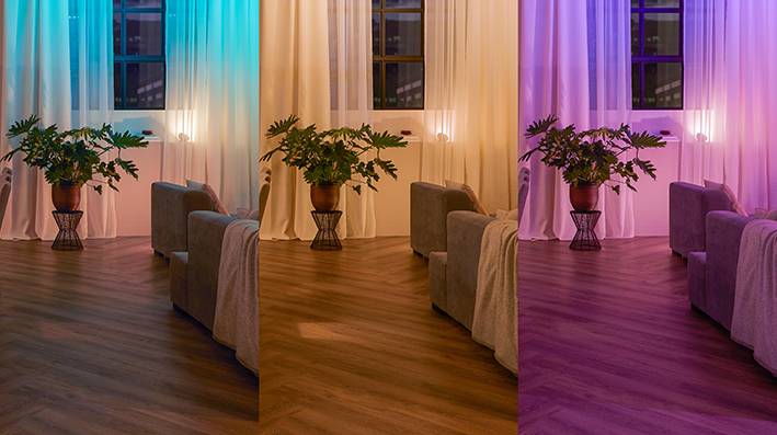 Salon avec éclairage tricolore : à gauche bleu-vert, au centre blanc chaud, à droite rose-violet. Grand pot de plantes sous la fenêtre.