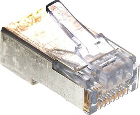 Eine Nahaufnahme eines Ethernet-Kabelsteckers (RJ45) mit seiner transparenten Kunststoffabdeckung und vergoldeten Stiften, die für Netzwerkverbindungen verwendet werden.