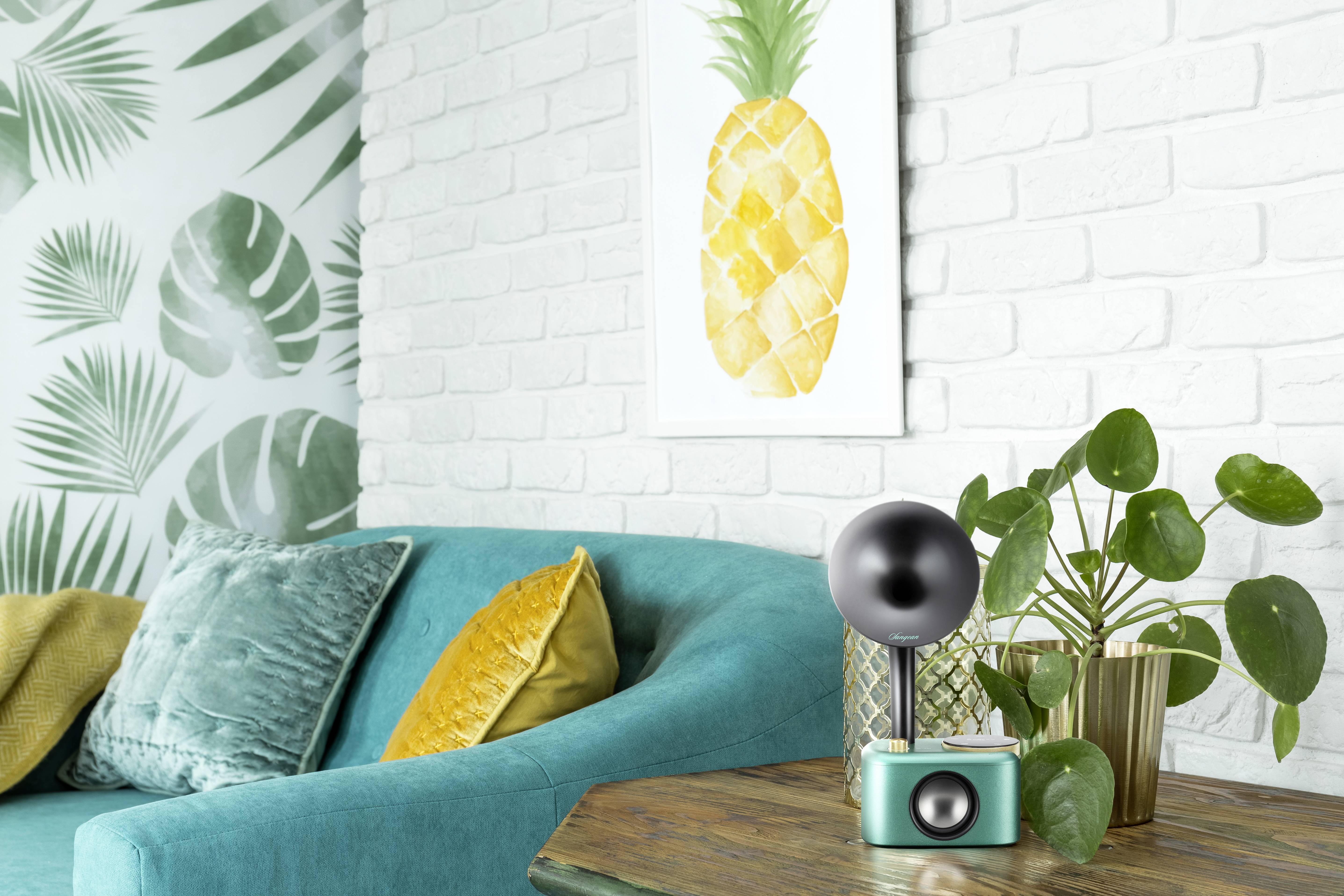 Sangean CP-100D Gramophone Radio de table DAB+, FM AUX, Bluetooth, USB écran tactile, rechargeable turquoise