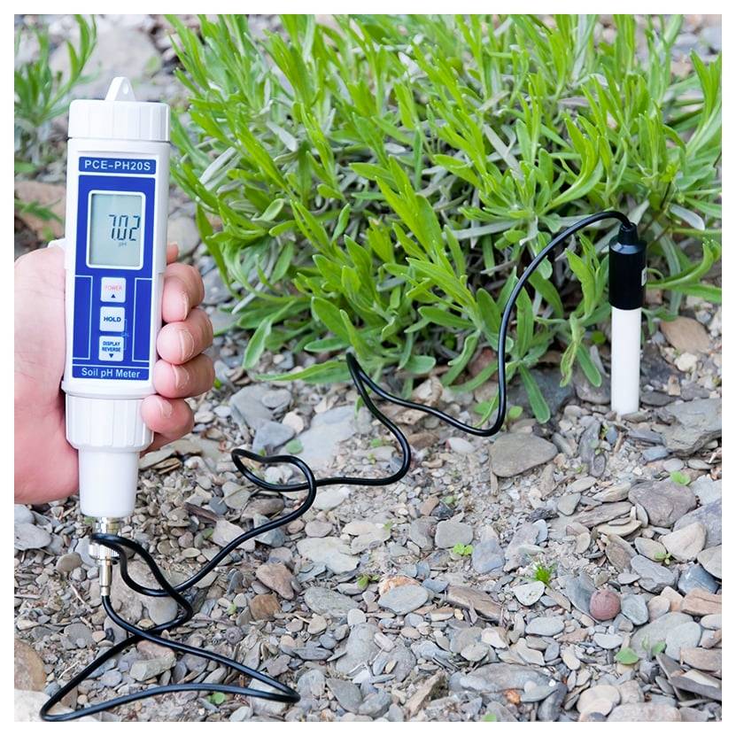 Main tenant un pH-mètre de sol affichant une lecture de 7,02, avec la sonde insérée dans un sol rocailleux à côté de plantes vertes.