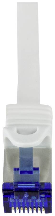 Une fiche RJ-45 bleue avec un câble blanc, utilisée pour les connexions réseau, vue de dessus.