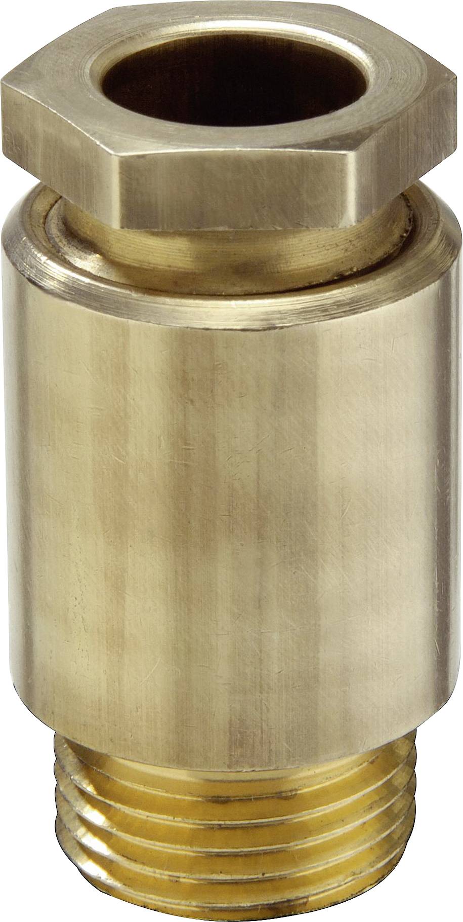 Clapet anti-retour en laiton avec filetage intérieur et extérieur, de forme cylindrique. Adapté pour contrôler la direction du fluide.