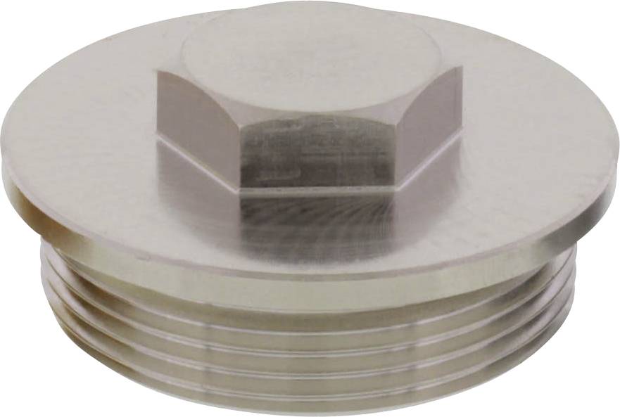 Couvercle métallique à tête ronde et plate, avec un embout hexagonal. Filetage visible sur la face inférieure.