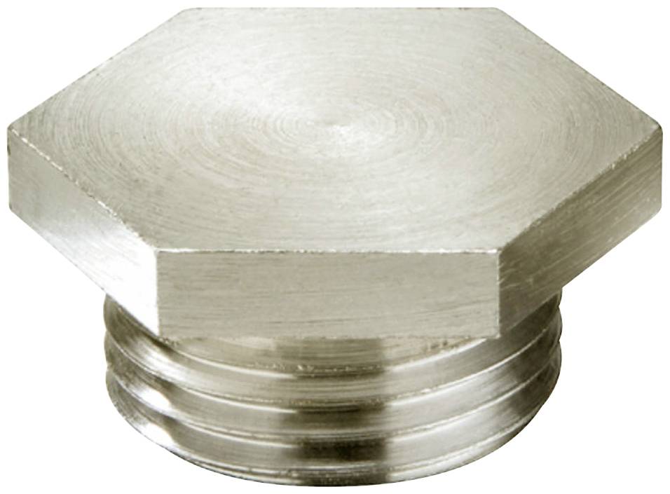 Bouchon de vis hexagonal en métal à surface lisse. Utilisé comme fermeture pour les systèmes de tuyauterie. Couleur argentée, aspect métallique.