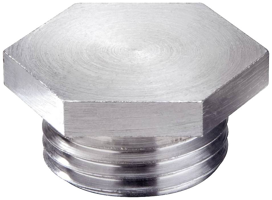 Bouchon hexagonal en acier inoxydable, filetage en bas.