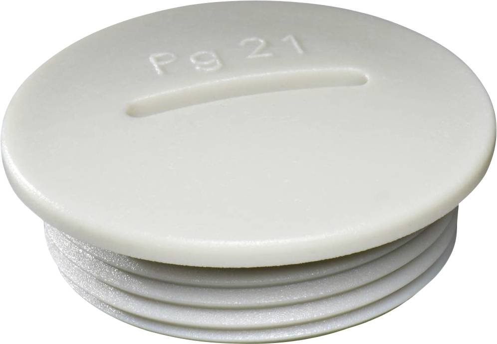 Un bouchon de fermeture gris clair portant l'inscription 'Pg 21' sur le dessus, adapté pour les tuyaux ou les perforations, permettant de condamner efficacement les ouvertures.