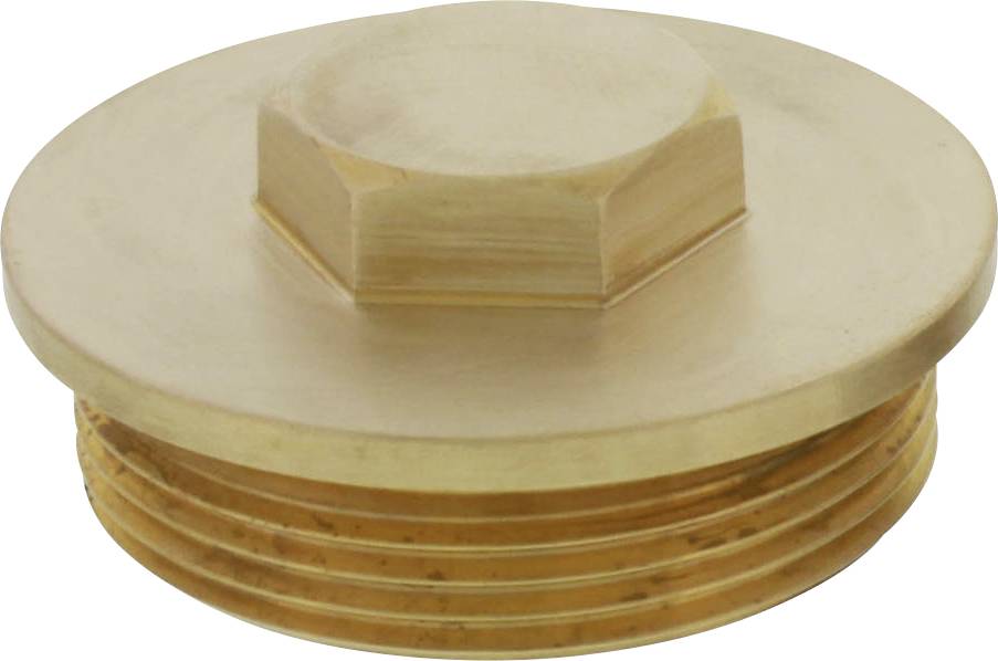 Bouchon fileté en laiton à tête hexagonale, avec un couvercle plat et un filetage, souvent utilisé dans les systèmes de tuyauterie ou comme obturateur.