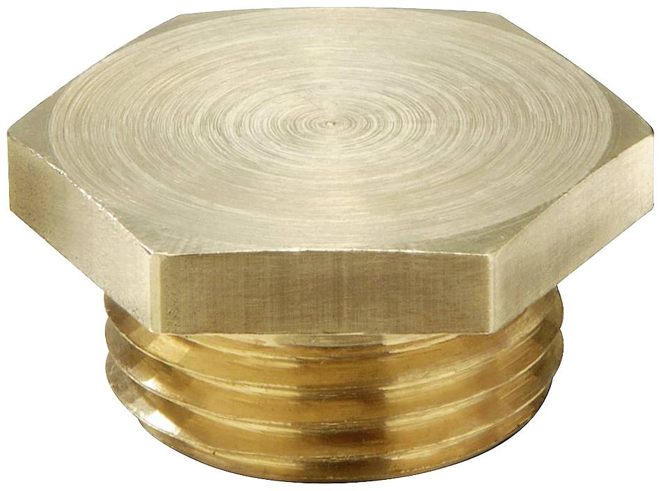 Un bouchon de fermeture hexagonal en laiton montre un embout métallique de couleur or avec un filetage, utilisé pour obturer des tubes.