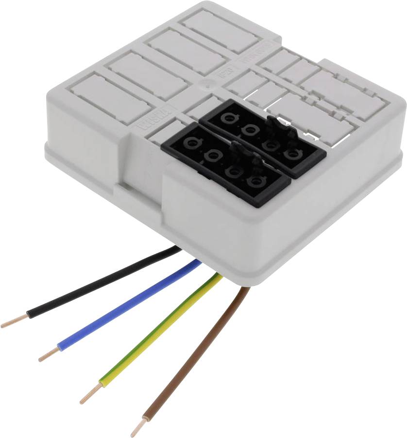 Module de connexion électrique avec six fils dénudés de différentes couleurs pour le câblage. Adapté aux installations électriques.