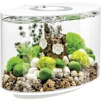 OASE biOrb 86414 biOrb LOOP 15 LED weiß Aquarium CEE: G (A - G) 15 l avec éclairage LED OASE biOrb 86414 biOrb LOOP 15 LED weiß Aquarium CEE: G (A - G) 15 l avec éclairage LED