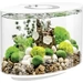 OASE biOrb 86414 biOrb LOOP 15 LED weiß Aquarium CEE: G (A - G) 15 l avec éclairage LED OASE biOrb 86414 biOrb LOOP 15 LED weiß Aquarium CEE: G (A - G) 15 l avec éclairage LED