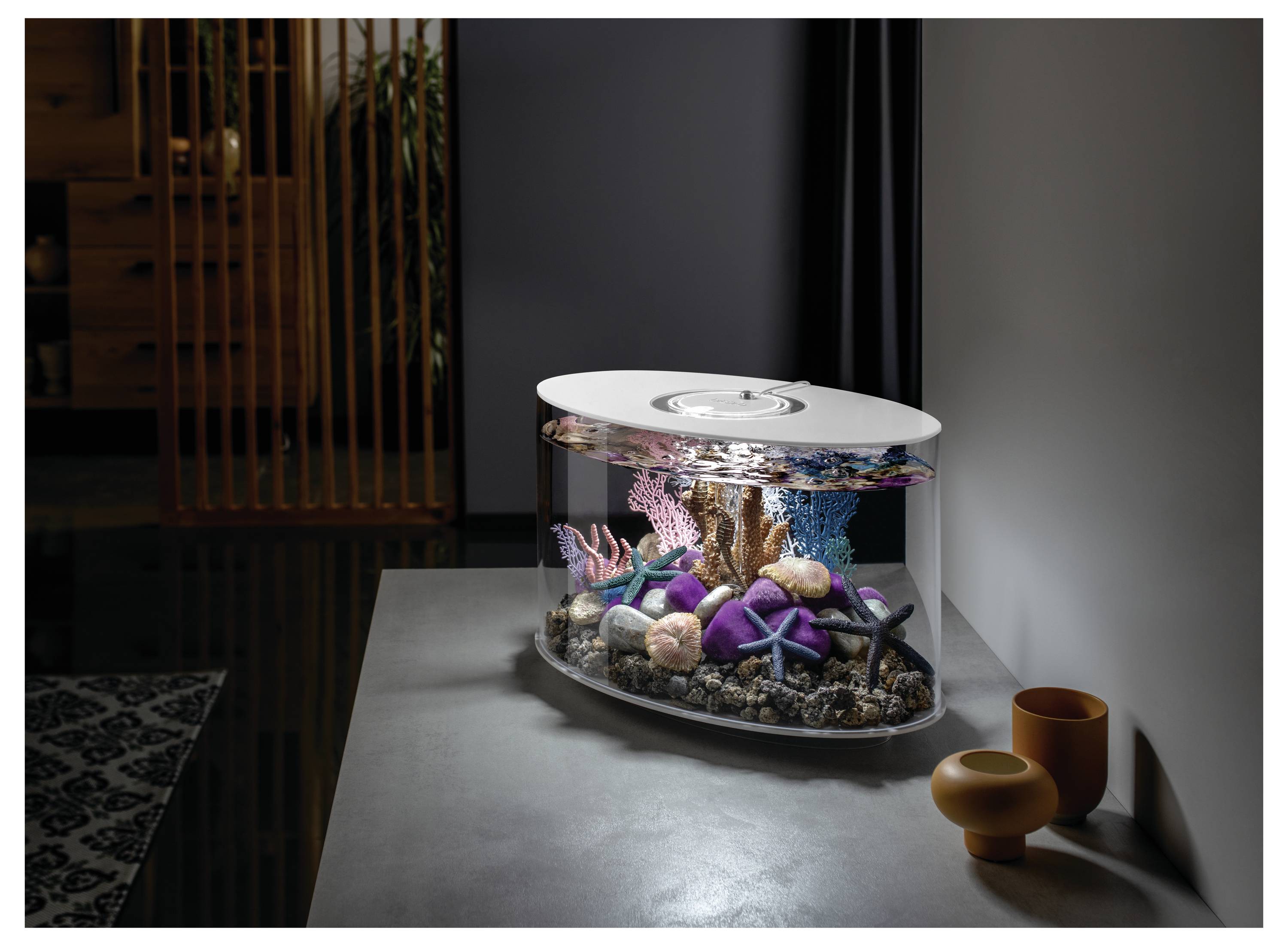 Un aquarium ovale sur une table grise met en scène des coraux et des roches colorés, avec un éclairage d'ambiance projetant des reflets sur le mur.