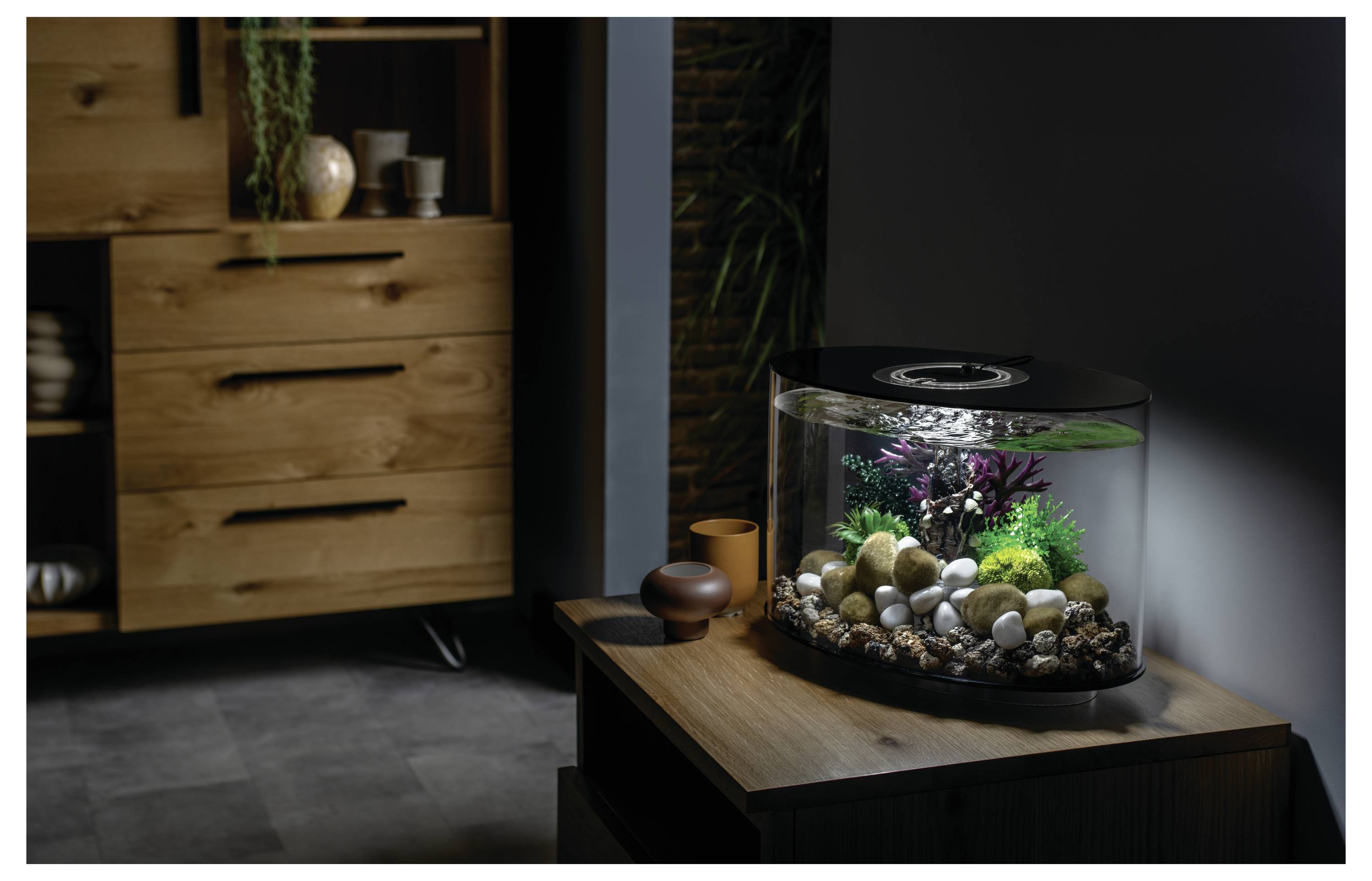 Un petit aquarium garni de plantes colorées et de rochers est posé sur une armoire en bois dans une pièce faiblement éclairée meublée de mobilier en bois.