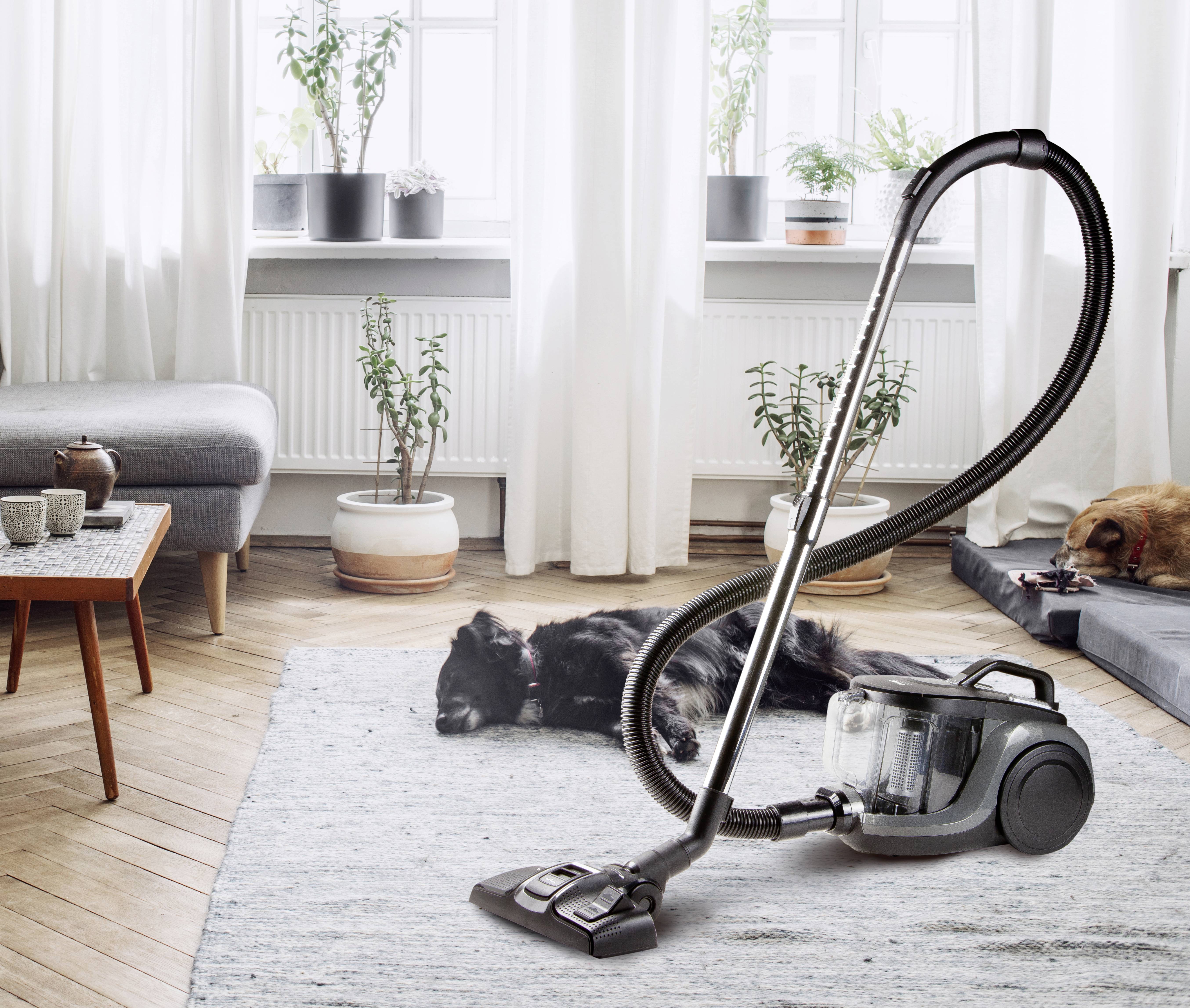 Un aspirateur est placé sur un tapis dans un salon. Un chien noir est allongé de manière détendue sur le sol. Des plantes et des meubles sont visibles en arrière-plan.