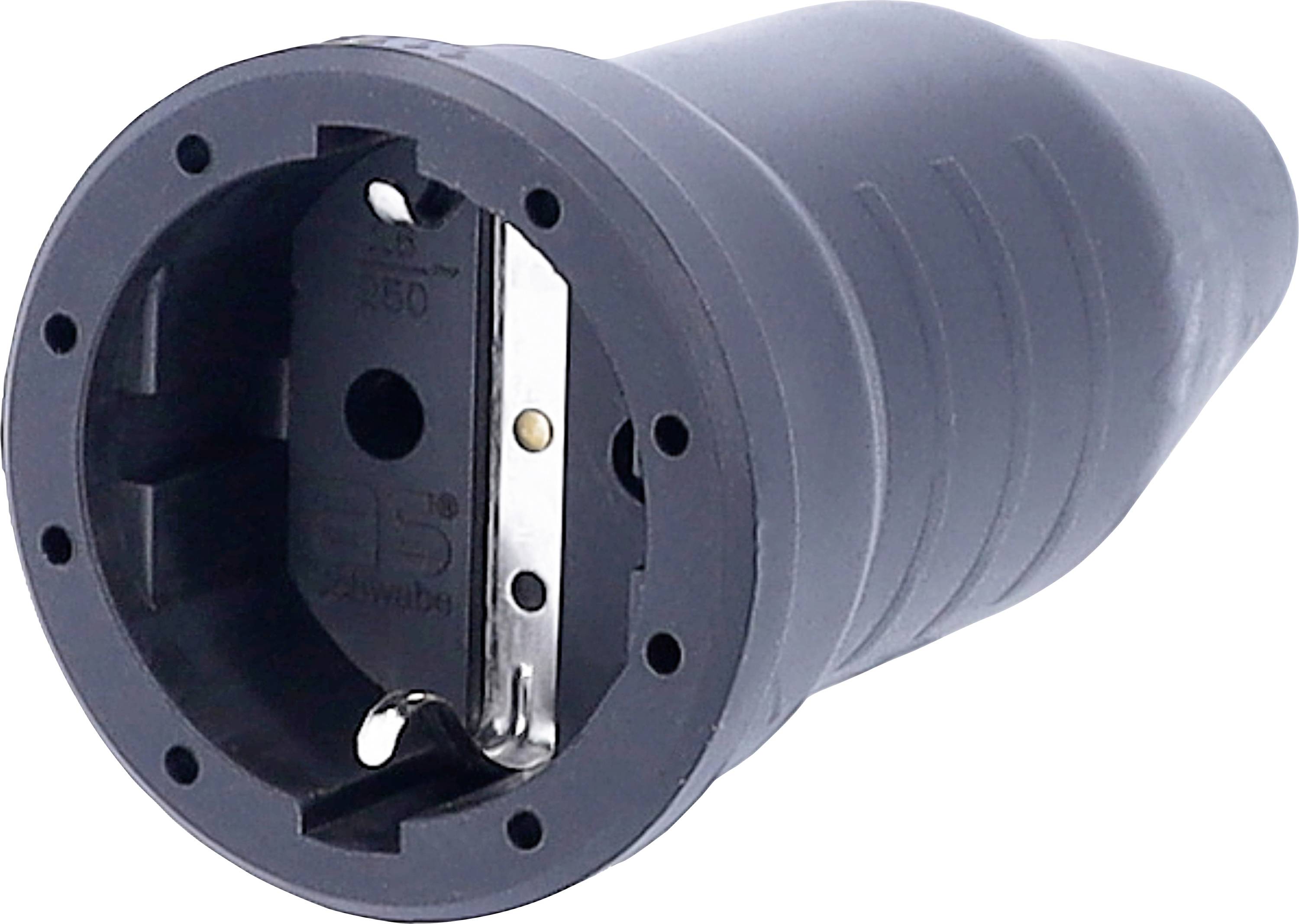 AS Schwabe 60416 Fiche électrique femelle avec terre