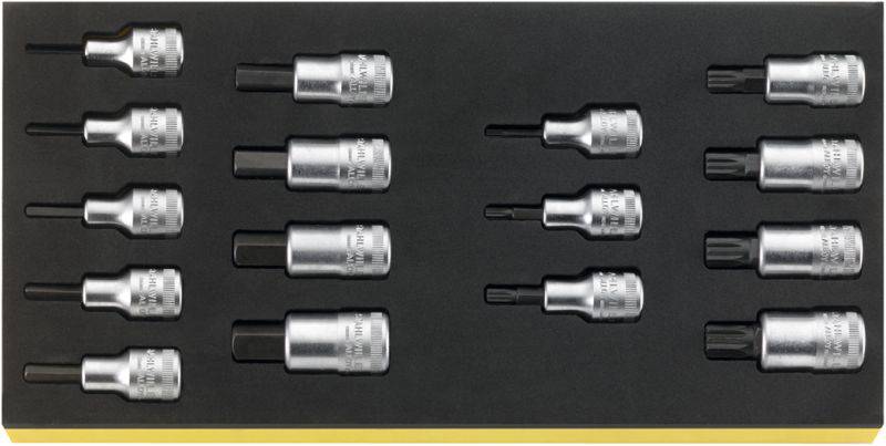 Das Bild zeigt ein Set von sechzehn Inbusschlüssel-Aufsätzen in einem schwarzen Halter, in zwei Reihen angeordnet.