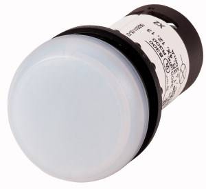 Eaton C22-L-W-120 Voyant lumineux plat blanc 120 V/AC 1 pc(s)