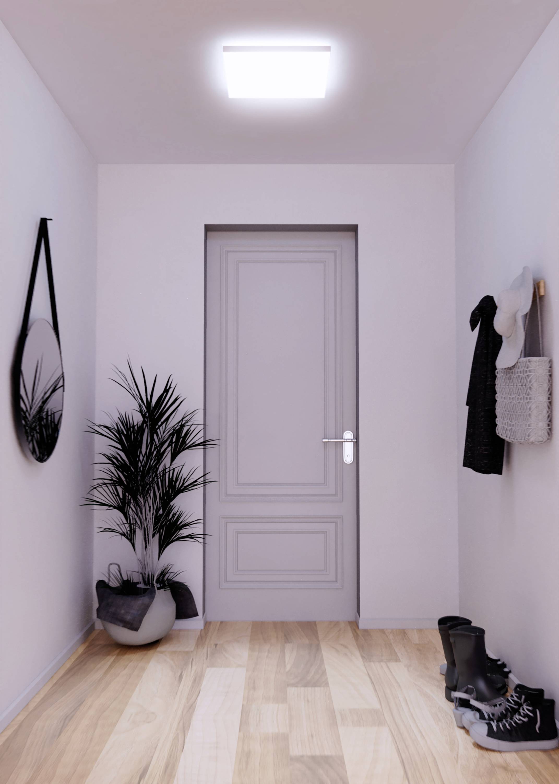 Un couloir étroit au plancher en bois, un miroir et une plante à gauche, un crochet portant un chapeau et un sac à droite, vue sur une porte fermée.