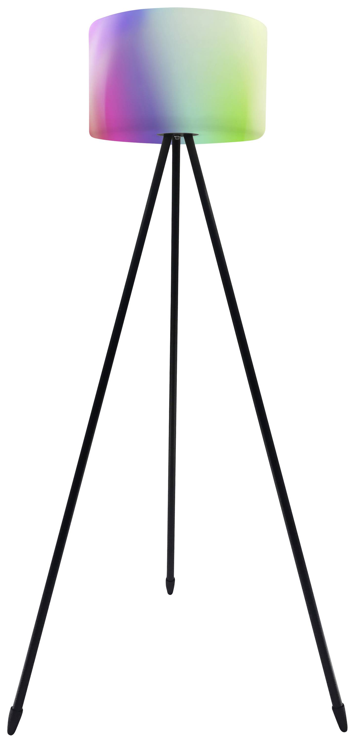 Müller-Licht tint Lampe sur pied tint Khaya E27 9.5 W RVBB