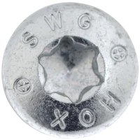 SWG Hox 175 730 020 63 Vis à bois 3 mm 20 mm profil Torx acier galvanisé 50 pc(s) SWG Hox 175 730 020 63 Vis à bois 3 mm 20 mm profil Torx acier galvanisé 50 pc(s)