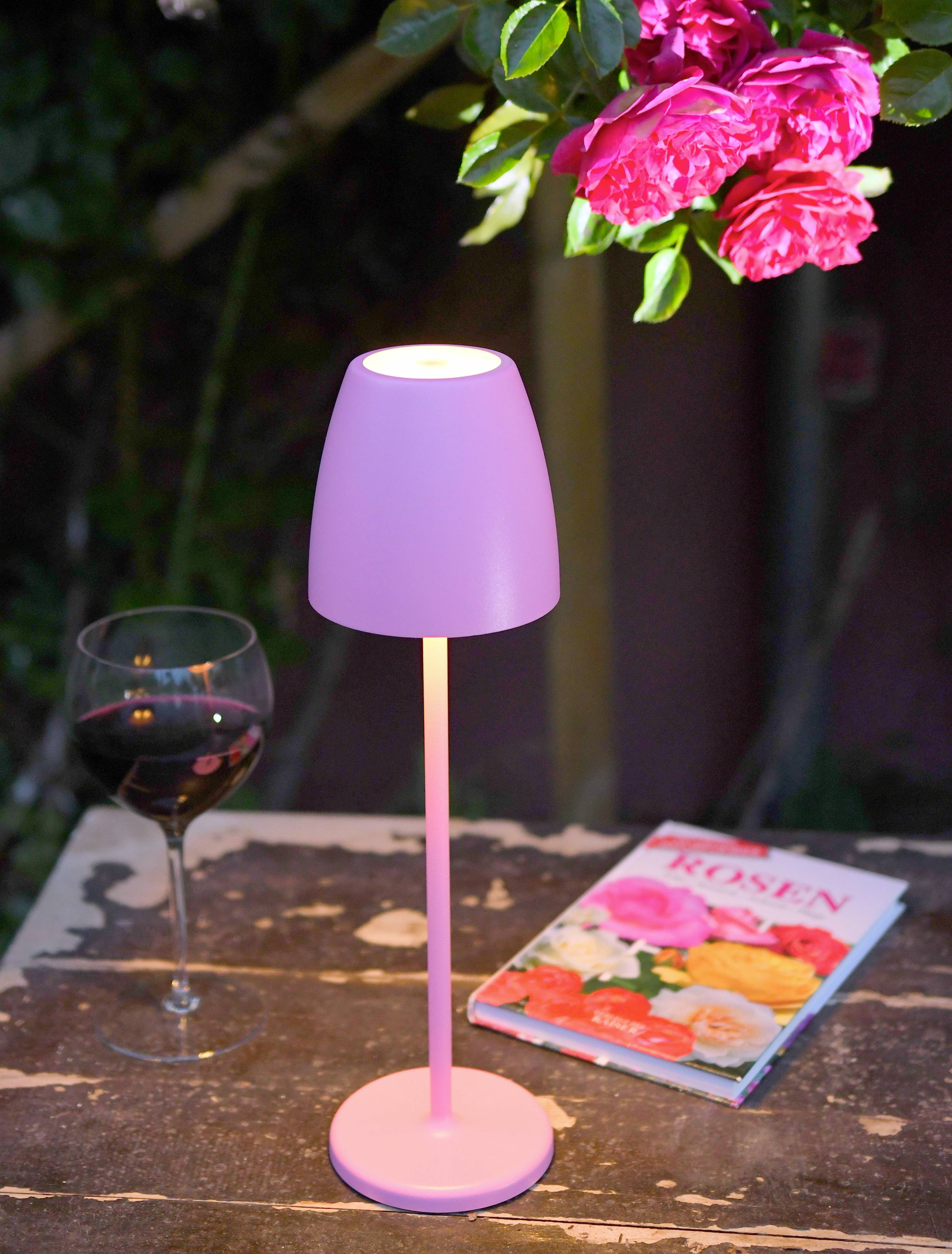 La lampe lilas s'illumine sur une table en bois à côté d'un verre de vin rouge et d'un livre sur les roses. Des fleurs roses pendent au-dessus.