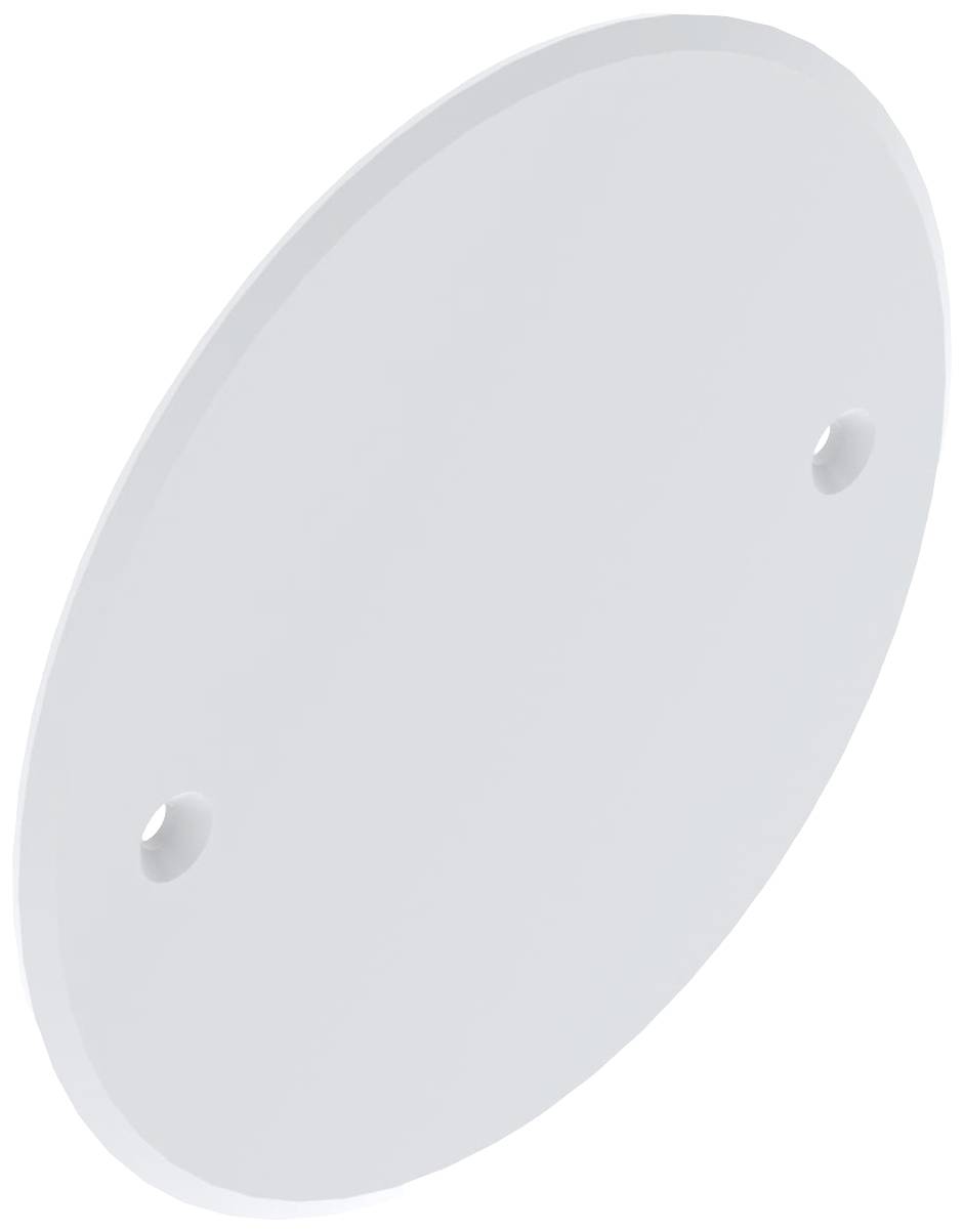 Un disque blanc, plat et rond avec deux trous près du bord, probablement un support ou un élément de fixation.