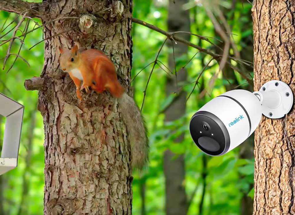 Caméra de surveillance Reolink Go Plus rlgopl GSM IP 2560 x 1440 pixels