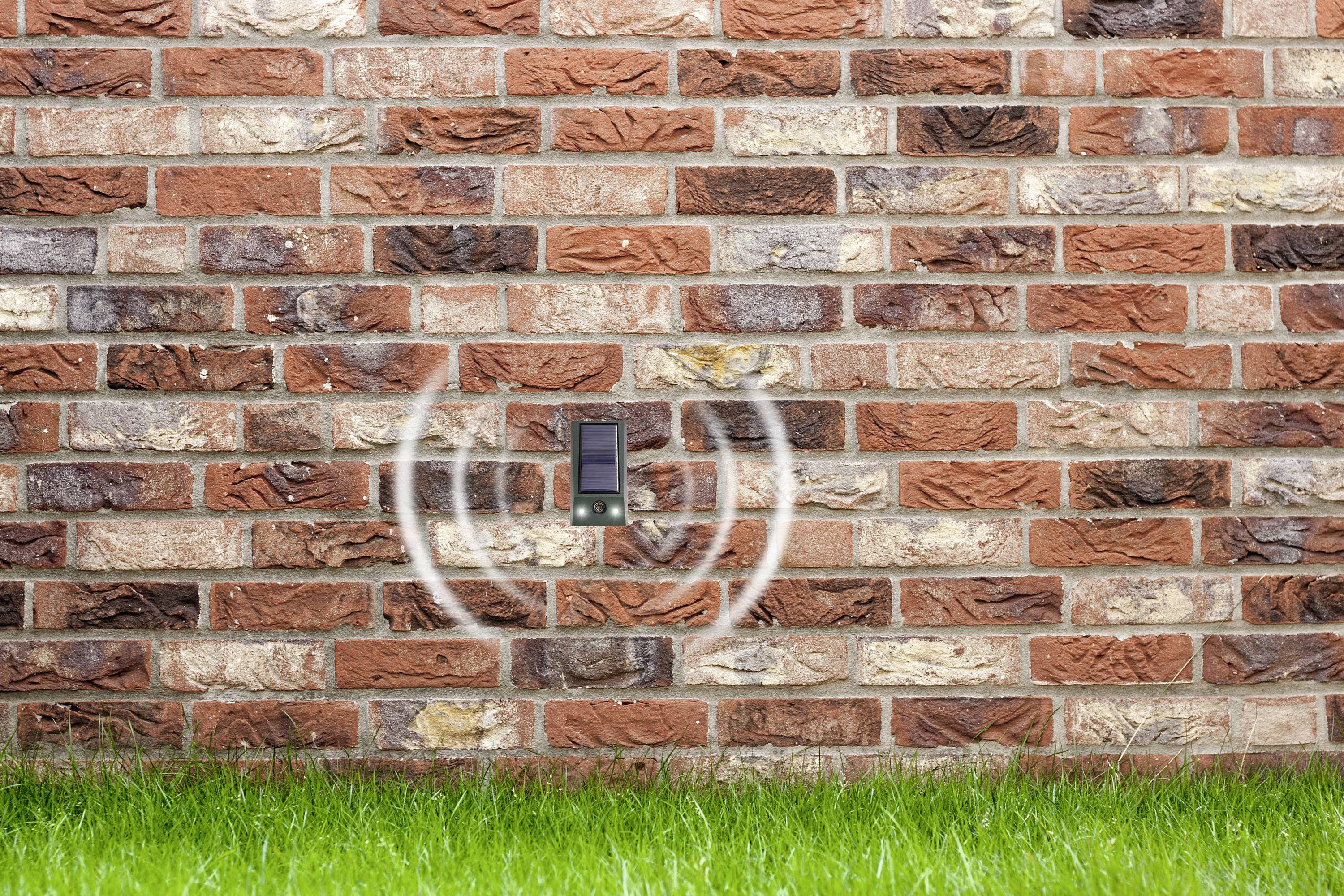 Un mur de briques avec un petit haut-parleur noir, entouré d'ondes circulaires, près de la pelouse verte.