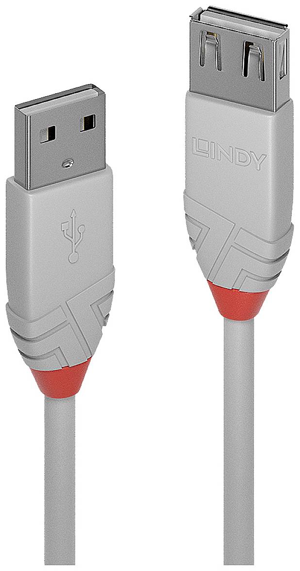 Câble d'extension USB gris avec une fiche mâle et une fiche femelle, avec des accents rouges aux deux extrémités, debout.